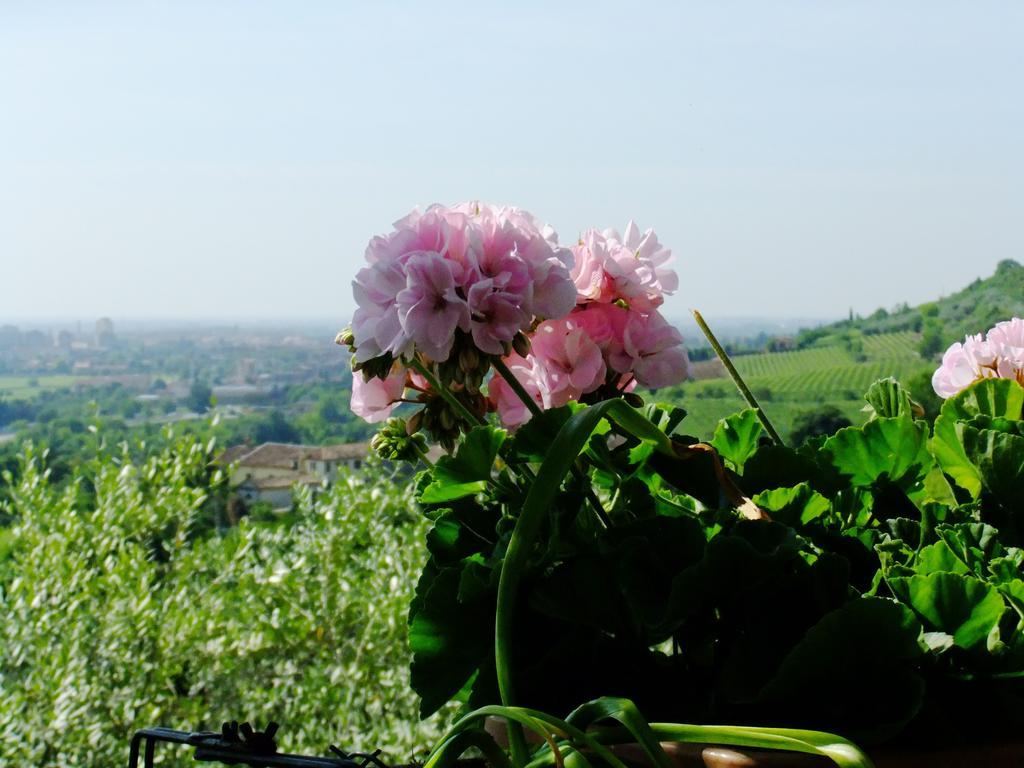 Bed & Breakfast Ca Novecento Verona