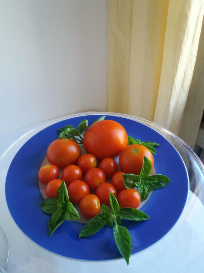 Ca Novecento Bed and breakfast *